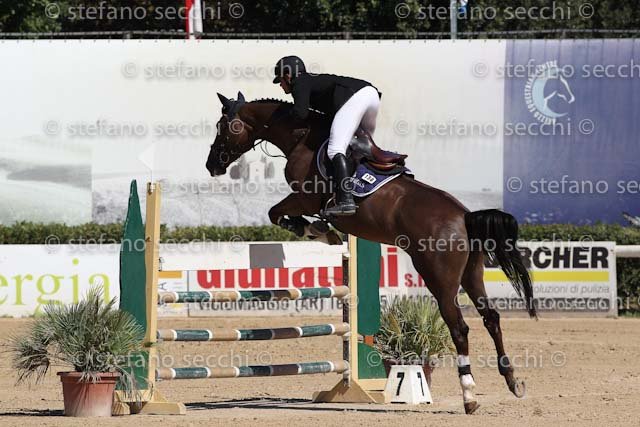 D ONOFRIO_ANNIKKI_ECC_2011_SS3_5239.jpg